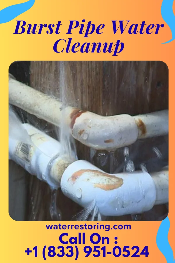 Burst Pipe Water Cleanup in Marion, SC