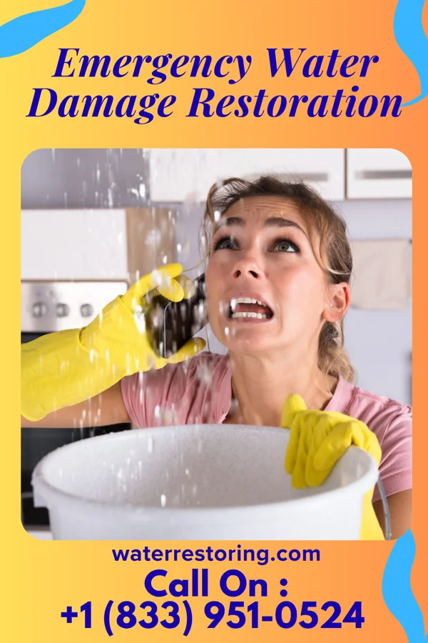 Emergency Water Damage Restoration in Marion, SC