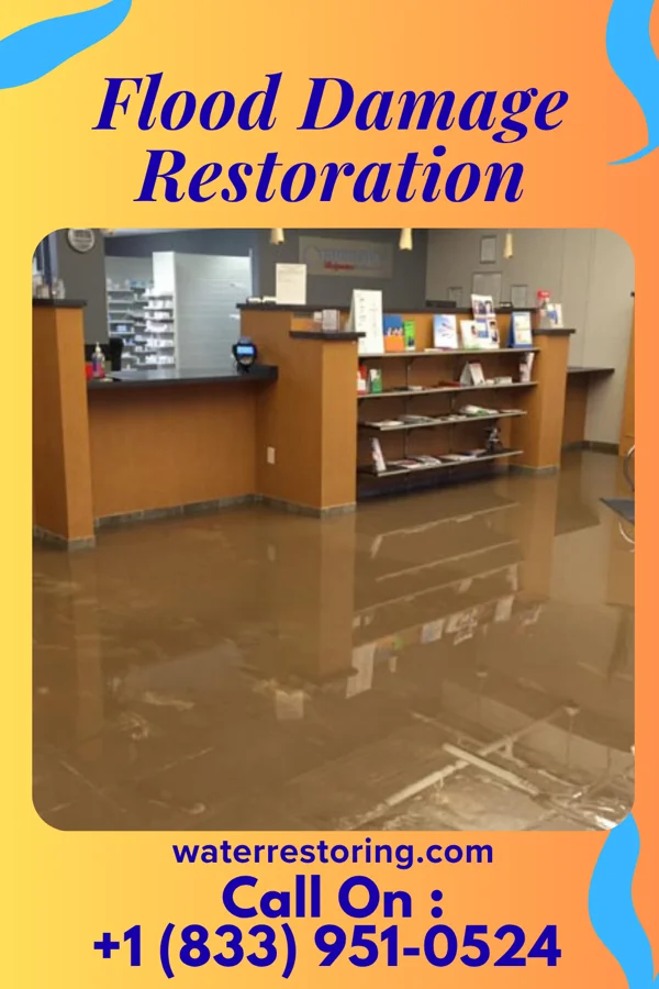 Flood Damage Restoration in Marion, SC