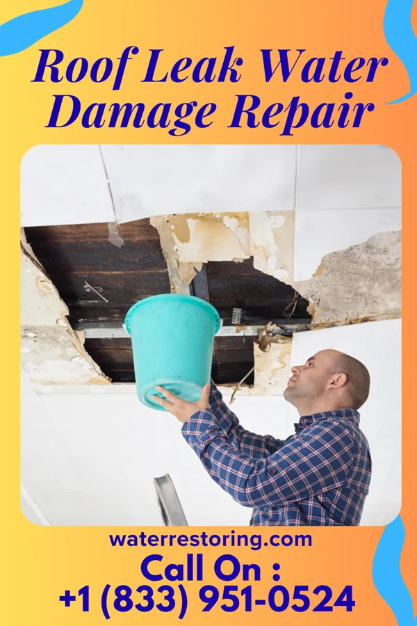 Roof Leak Water Damage Repair in Marion, SC