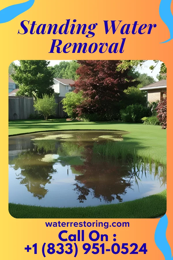 Standing Water Removal in Marion, SC